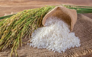 Giá lúa gạo hôm nay ngày 16/11: Đầu tuần giao dịch chậm