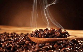 Giá cà phê hôm nay 1/12: Giá cà phê toàn cầu tiếp tục tăng nhẹ
