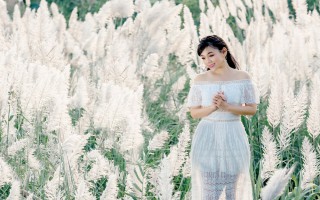Cánh đồng cỏ lau ở Hà Nội đã vào mùa khoe sắc trắng, đẹp đến ngỡ ngàng
