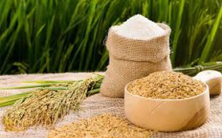 Giá lúa gạo hôm nay ngày 12/12: Duy trì mức ổn định