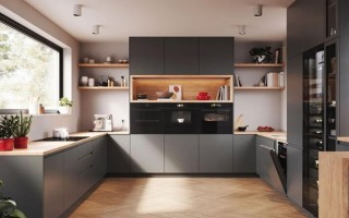 Tại sao máy rửa bát Bosch và bếp từ Bosch luôn là “cặp bài trùng” trong bếp hạng sang?