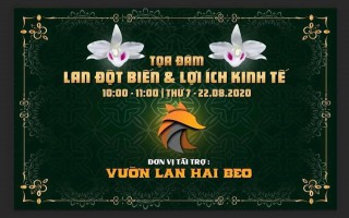 Tọa đàm trực tuyến phát triển bền vững ngành Hoa Lan và quyên góp ủng hộ phòng chống Covid 19