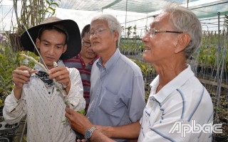 Chuyện về loài hoa của núi rừng