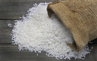 Giá lúa gạo hôm nay ngày 30/9: Giá lúa bật tăng trở lại