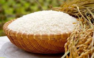Giá lúa gạo hôm nay ngày 15/11/2020