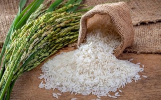 Giá lúa gạo hôm nay ngày 17/11: Giá lúa gạo tăng 300 đồng/kg