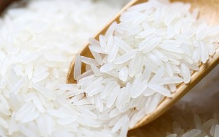 Giá lúa gạo hôm nay ngày 23/11: Nhu cầu mua ít, giao dịch trầm lắng