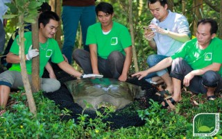 Hà Nội: Bắt và xác định được giới tính rùa Hoàn Kiếm quý hiếm nhất thế giới ở hồ Đồng Mô