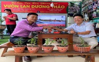 Nguyễn Văn Dương: Ai nói lan ảo, lan đa cấp người đó không hiểu gì về hoa lan