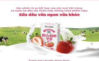 Sữa Lotte Pasteur - Nguồn dinh dưỡng thuần khiết đến từ nguyên liệu sữa tươi 1A