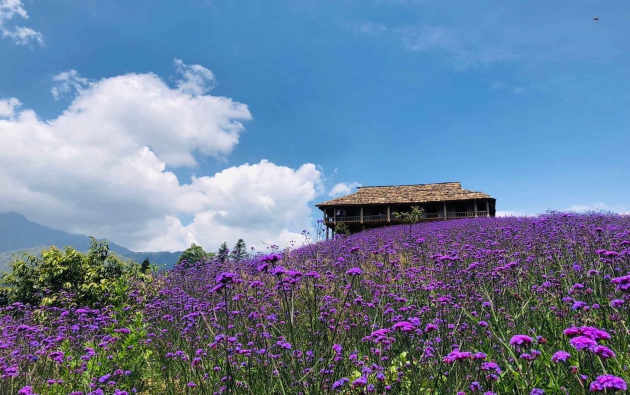 Fansipan – điểm đến luôn gây bất ngờ cho dân mê du lịch trải nghiệm