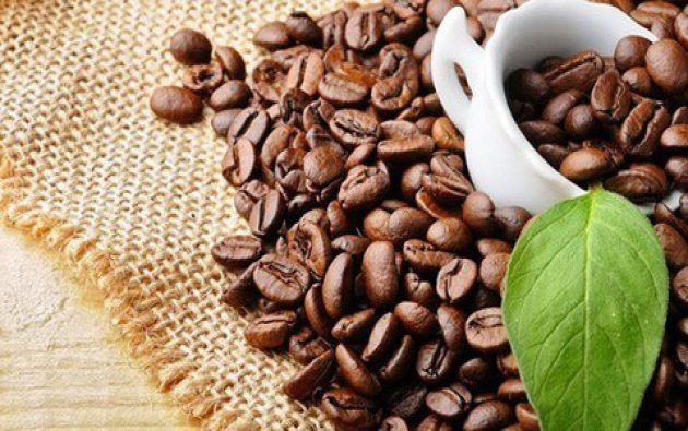 Giá cà phê hôm nay 27/9: Giao dịch trầm lắng